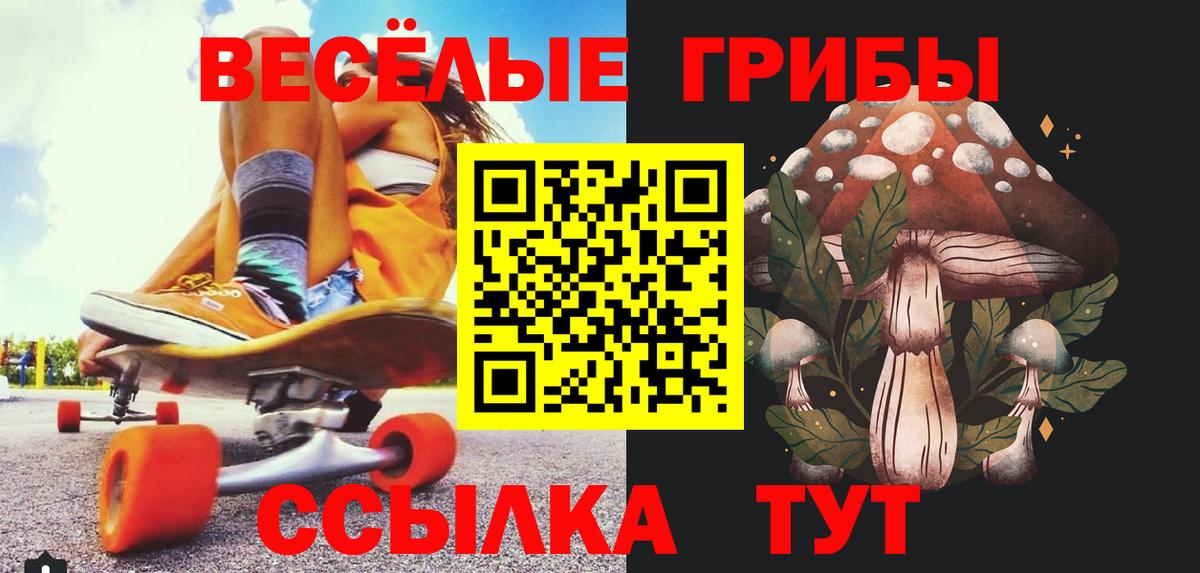 Галлюциногенные грибы Psilocybine cubensis  что такое наркотик  Осинники  Вход с VPN 